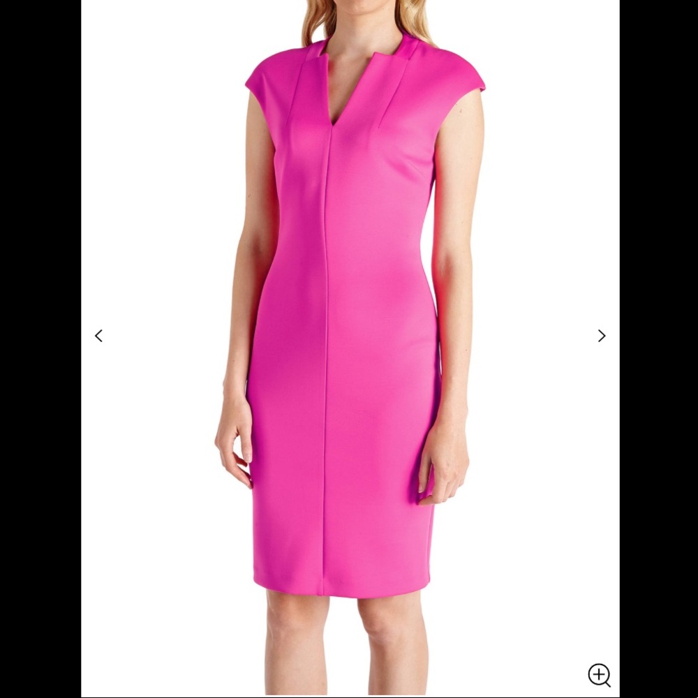 Ted Baker London Diah Dress